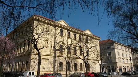 covid-19